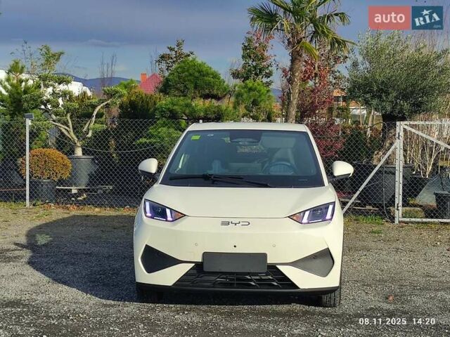 Бежевый БИД Seagull, объемом двигателя 0 л и пробегом 2 тыс. км за 16500 $, фото 1 на Automoto.ua