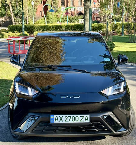 Черный БИД Seagull, объемом двигателя 0 л и пробегом 18 тыс. км за 13500 $, фото 1 на Automoto.ua