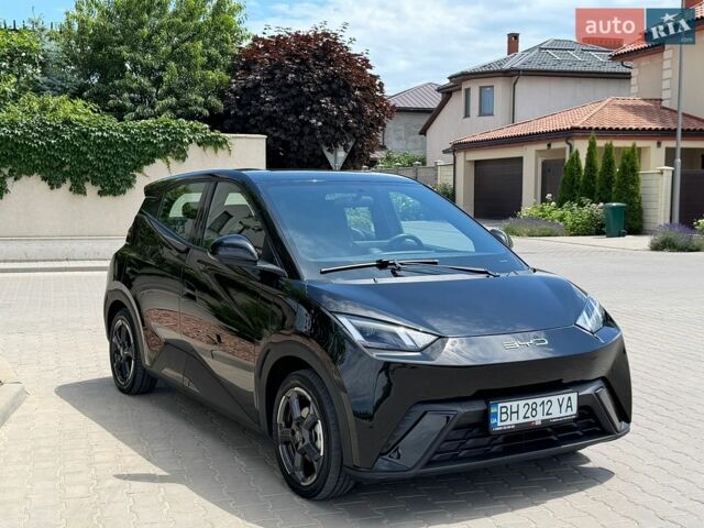 Черный БИД Seagull, объемом двигателя 0 л и пробегом 60 тыс. км за 14900 $, фото 1 на Automoto.ua