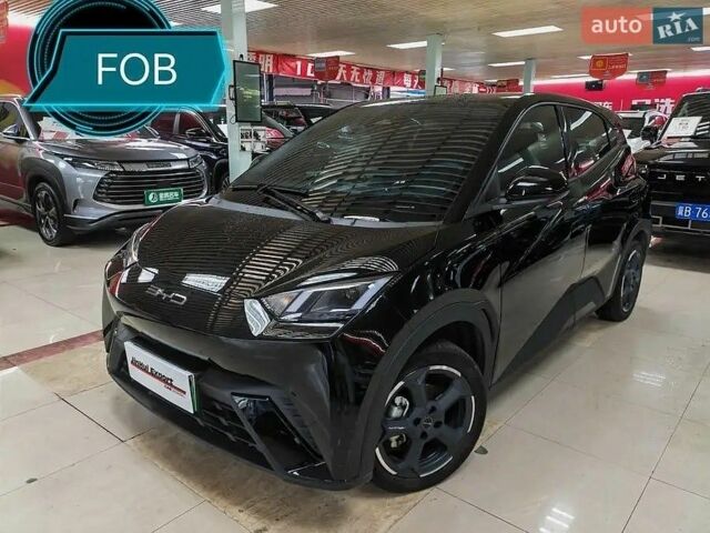Черный БИД Seagull, объемом двигателя 0 л и пробегом 16 тыс. км за 17500 $, фото 1 на Automoto.ua