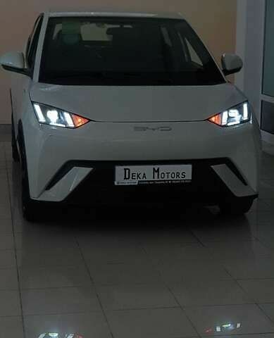 БИД Seagull, объемом двигателя 0 л и пробегом 4 тыс. км за 13800 $, фото 1 на Automoto.ua