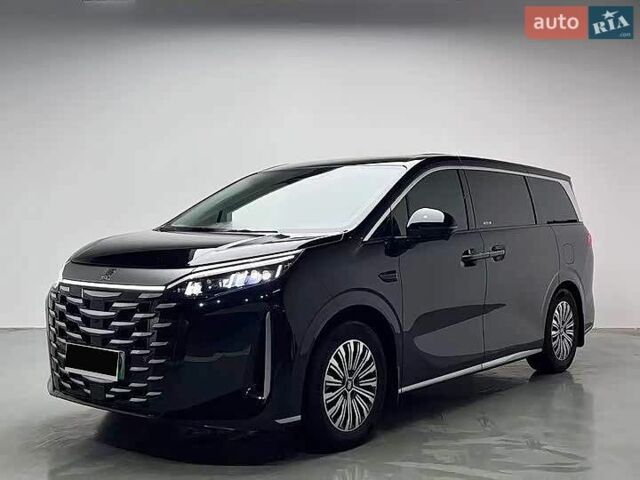 Черный БИД Summer, объемом двигателя 1.5 л и пробегом 8 тыс. км за 44200 $, фото 1 на Automoto.ua