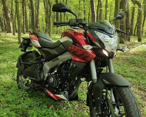 Красный Баджадж Pulsar NS200, объемом двигателя 0.2 л и пробегом 2 тыс. км за 2900 $, фото 1 на Automoto.ua