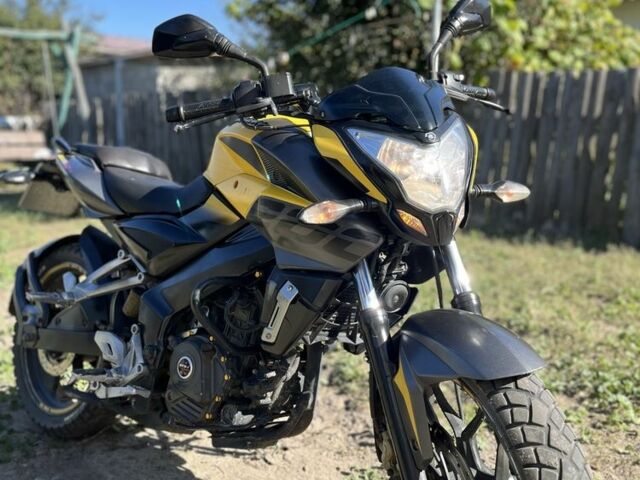 Баджадж Pulsar NS200, об'ємом двигуна 0.2 л та пробігом 0 тис. км за 1200 $, фото 1 на Automoto.ua