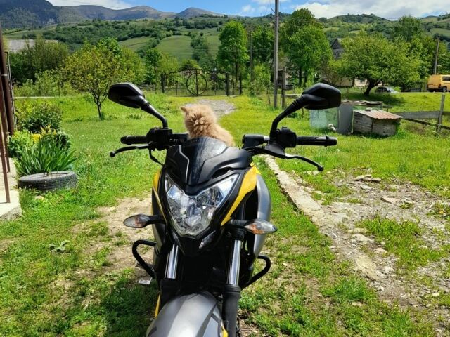 Баджадж Pulsar NS200, объемом двигателя 0.2 л и пробегом 0 тыс. км за 1780 $, фото 1 на Automoto.ua
