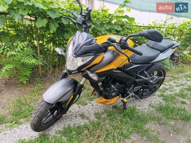 Жовтий Баджадж Pulsar NS200, об'ємом двигуна 0.2 л та пробігом 28 тис. км за 2000 $, фото 1 на Automoto.ua