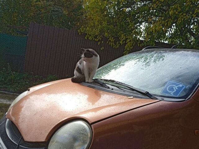 Коричневый Чери Джагги, объемом двигателя 1 л и пробегом 79 тыс. км за 2500 $, фото 1 на Automoto.ua