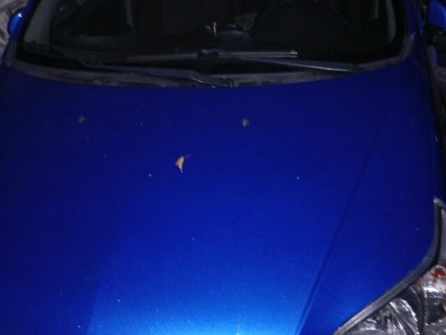 Синий Шевроле Авео, объемом двигателя 0 л и пробегом 112 тыс. км за 4500 $, фото 1 на Automoto.ua