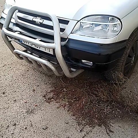 Серый Шевроле Нива, объемом двигателя 1.7 л и пробегом 240 тыс. км за 2800 $, фото 1 на Automoto.ua