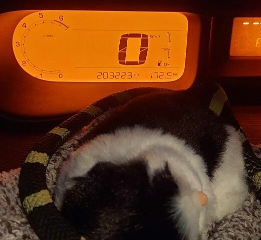 Чорний Сітроен С3, об'ємом двигуна 1.4 л та пробігом 203 тис. км за 4515 $, фото 1 на Automoto.ua