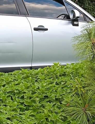 Серый Ситроен С4, объемом двигателя 1.6 л и пробегом 346 тыс. км за 4000 $, фото 1 на Automoto.ua