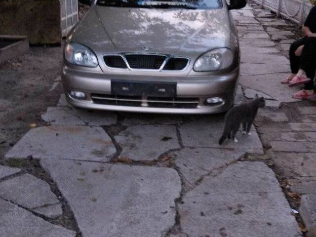 Бежевый Дэу Сенс, объемом двигателя 1.3 л и пробегом 183 тыс. км за 2000 $, фото 1 на Automoto.ua