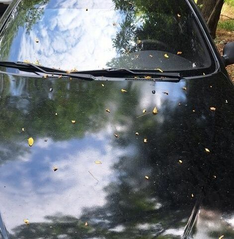 Чорний Деу Сенс, об'ємом двигуна 0 л та пробігом 370 тис. км за 2000 $, фото 1 на Automoto.ua