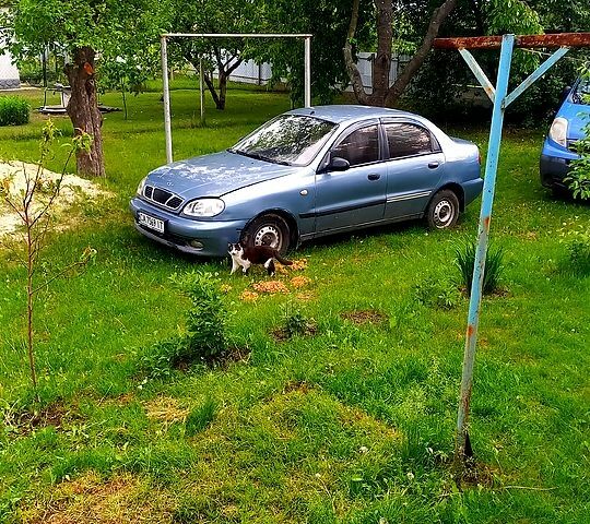 Дэу Сенс, объемом двигателя 1.3 л и пробегом 179 тыс. км за 2000 $, фото 1 на Automoto.ua