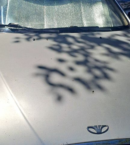 Сірий Деу Сенс, об'ємом двигуна 1.3 л та пробігом 258 тис. км за 1300 $, фото 1 на Automoto.ua