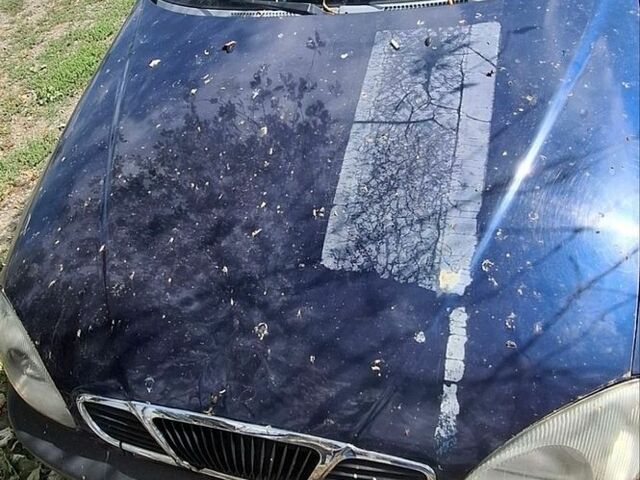 Синій Деу Сенс, об'ємом двигуна 1.3 л та пробігом 230 тис. км за 850 $, фото 1 на Automoto.ua