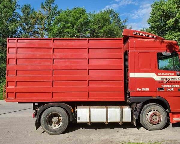 Даф XF, об'ємом двигуна 12.6 л та пробігом 1 тис. км за 14900 $, фото 1 на Automoto.ua