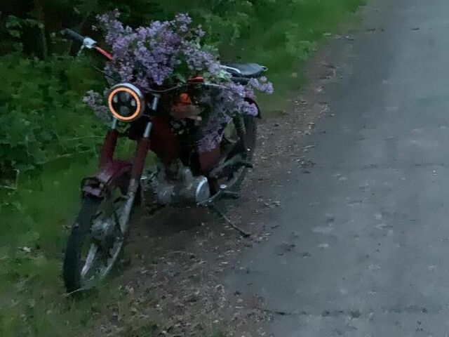 Дельта 110, объемом двигателя 0.11 л и пробегом 0 тыс. км за 343 $, фото 1 на Automoto.ua