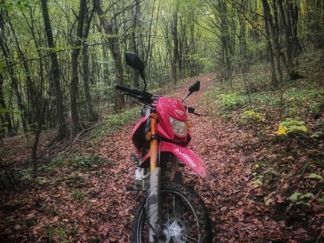 Другая Другая, объемом двигателя 0.2 л и пробегом 0 тыс. км за 1264 $, фото 1 на Automoto.ua