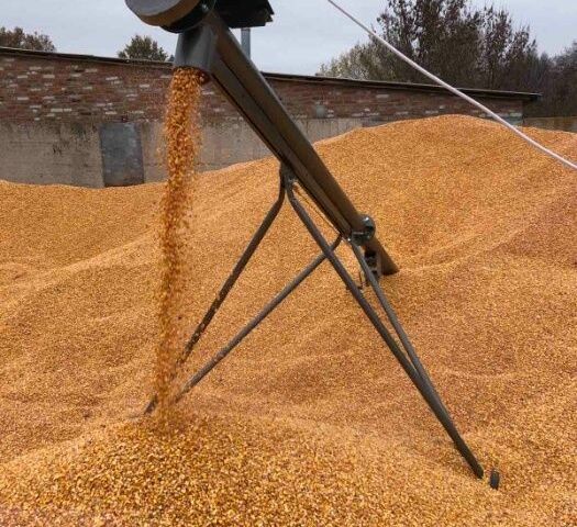 Другая Другая, объемом двигателя 0 л и пробегом 0 тыс. км за 439 $, фото 1 на Automoto.ua