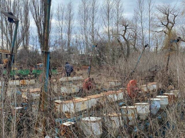 Другая Другая, объемом двигателя 0 л и пробегом 0 тыс. км за 832 $, фото 1 на Automoto.ua