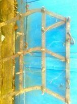 Другая Другая, объемом двигателя 0 л и пробегом 0 тыс. км за 24 $, фото 1 на Automoto.ua