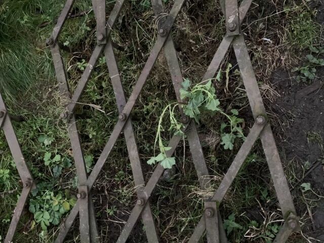 Інша Інша, об'ємом двигуна 0 л та пробігом 0 тис. км за 72 $, фото 1 на Automoto.ua