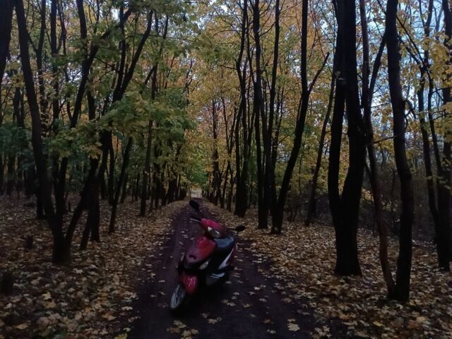 Інша Інша, об'ємом двигуна 49 л та пробігом 0 тис. км за 288 $, фото 1 на Automoto.ua