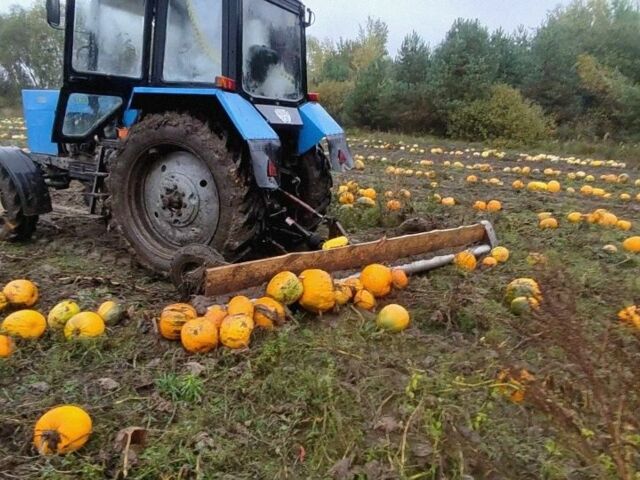 Другая Другая, объемом двигателя 0 л и пробегом 0 тыс. км за 714 $, фото 1 на Automoto.ua