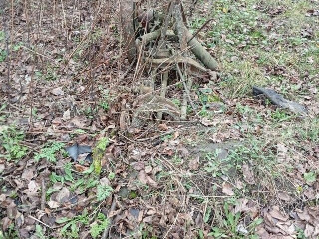 Другая Другая, объемом двигателя 0 л и пробегом 0 тыс. км за 357 $, фото 1 на Automoto.ua