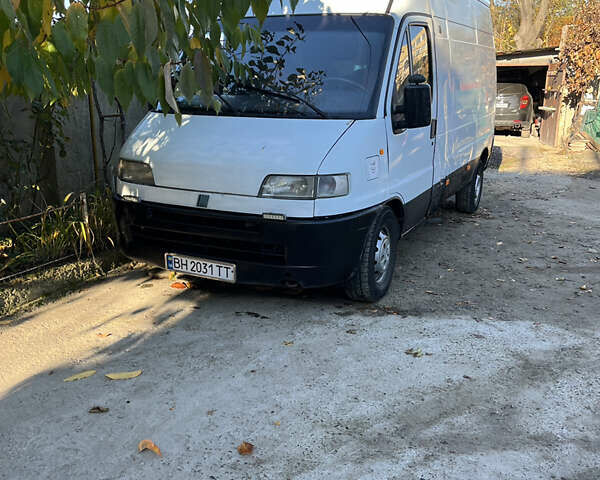 Белый Фиат Дукато, объемом двигателя 2.5 л и пробегом 5 тыс. км за 2500 $, фото 1 на Automoto.ua