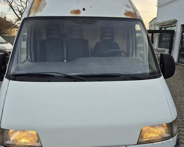 Белый Фиат Дукато, объемом двигателя 2.8 л и пробегом 564 тыс. км за 3500 $, фото 1 на Automoto.ua