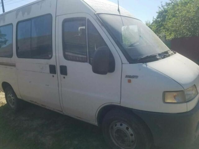 Белый Фиат Дукато, объемом двигателя 2.8 л и пробегом 11 тыс. км за 1500 $, фото 1 на Automoto.ua