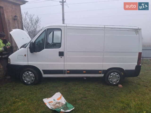Білий Фіат Дукато, об'ємом двигуна 2.3 л та пробігом 500 тис. км за 2800 $, фото 1 на Automoto.ua