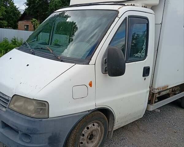 Белый Фиат Дукато, объемом двигателя 2.8 л и пробегом 500 тыс. км за 3000 $, фото 1 на Automoto.ua