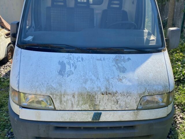 Белый Фиат Дукато, объемом двигателя 2.5 л и пробегом 200 тыс. км за 953 $, фото 1 на Automoto.ua