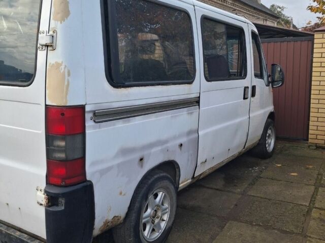 Белый Фиат Дукато, объемом двигателя 2.5 л и пробегом 1000 тыс. км за 1400 $, фото 1 на Automoto.ua