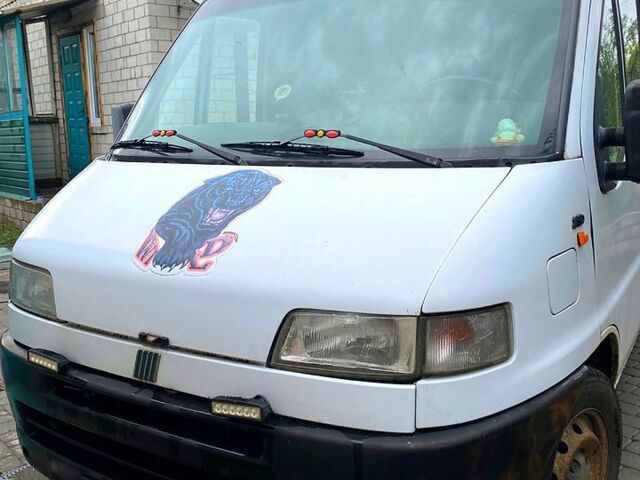 Белый Фиат Дукато, объемом двигателя 2.5 л и пробегом 500 тыс. км за 2500 $, фото 1 на Automoto.ua