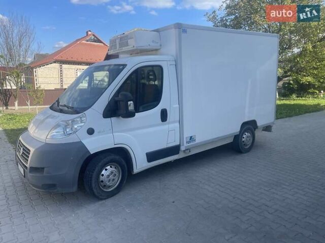 Белый Фиат Дукато, объемом двигателя 0 л и пробегом 12 тыс. км за 11500 $, фото 1 на Automoto.ua