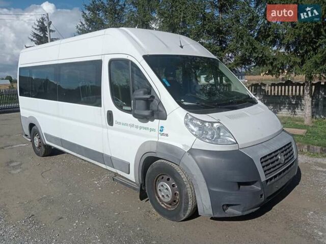 Белый Фиат Дукато, объемом двигателя 0 л и пробегом 280 тыс. км за 15500 $, фото 1 на Automoto.ua