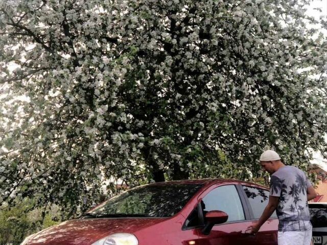 Фиат Гранде Пунто 2007 в Львове на Automoto.ua Красный Фиат Гранде Пунто, объемом двигателя 1.6 л и пробегом 230 тыс. км за 3500 $, фото 1 на Automoto.ua