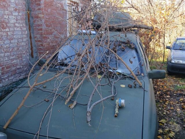 Зеленый Форд Другая, объемом двигателя 1.4 л и пробегом 300 тыс. км за 300 $, фото 1 на Automoto.ua