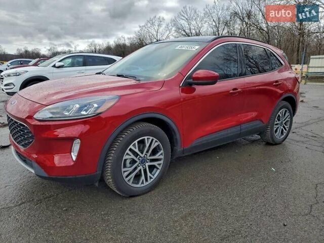 Красный Форд Эскейп, объемом двигателя 2.5 л и пробегом 53 тыс. км за 4700 $, фото 1 на Automoto.ua