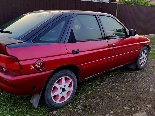 Форд Эскорт, объемом двигателя 1.6 л и пробегом 581 тыс. км за 1200 $, фото 1 на Automoto.ua
