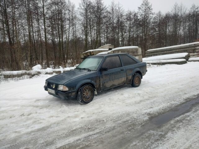 Синий Форд Эскорт, объемом двигателя 1.4 л и пробегом 100 тыс. км за 302 $, фото 1 на Automoto.ua