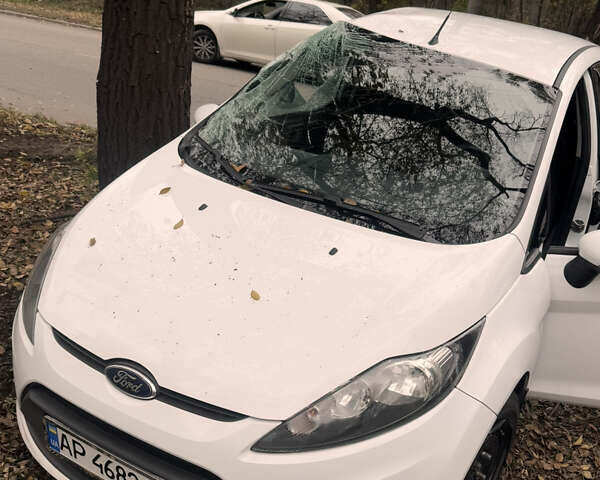 Белый Форд Фиеста, объемом двигателя 1.2 л и пробегом 103 тыс. км за 2500 $, фото 1 на Automoto.ua