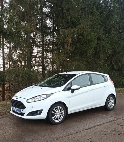 Белый Форд Фиеста, объемом двигателя 1 л и пробегом 110 тыс. км за 8500 $, фото 1 на Automoto.ua