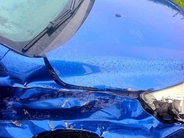 Синій Форд Фокус, об'ємом двигуна 1.8 л та пробігом 246 тис. км за 3000 $, фото 1 на Automoto.ua