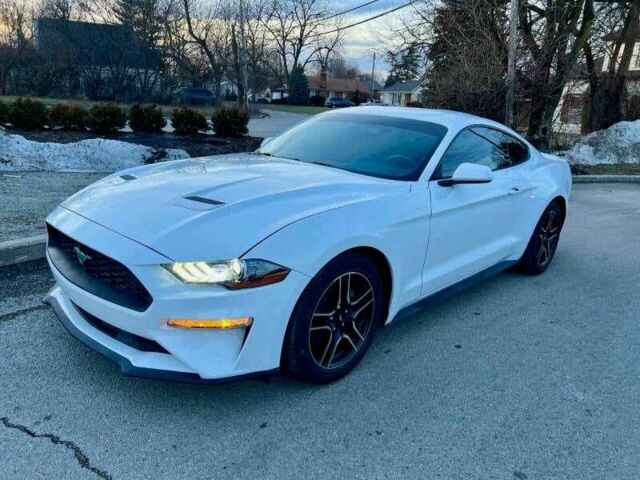 Белый Форд Мустанг, объемом двигателя 2.3 л и пробегом 45 тыс. км за 5800 $, фото 1 на Automoto.ua