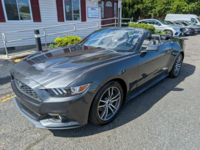 Форд Мустанг 2015 в Черкассах на Automoto.ua Серый Форд Мустанг, объемом двигателя 2.3 л и пробегом 78 тыс. км за 3100 $, фото 1 на Automoto.ua